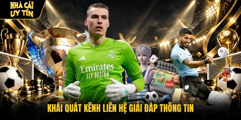 Khái quát kênh liên hệ giải đáp thông tin