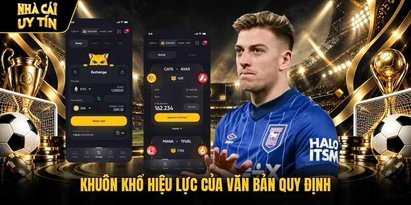 Khuôn khổ hiệu lực của văn bản quy định
