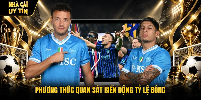 Phương thức quan sát biến động tỷ lệ bóng